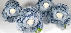 cursters-yeti-group