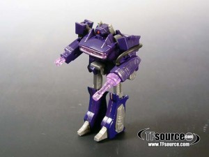 wst06
