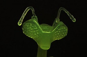 mantis03