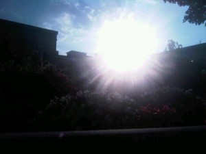 IMG00229-20100829-0737.jpg
