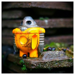 Sprog Profile: Rigel