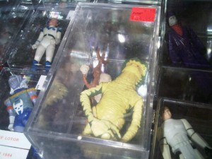 IMG00807-20101221-1506.jpg