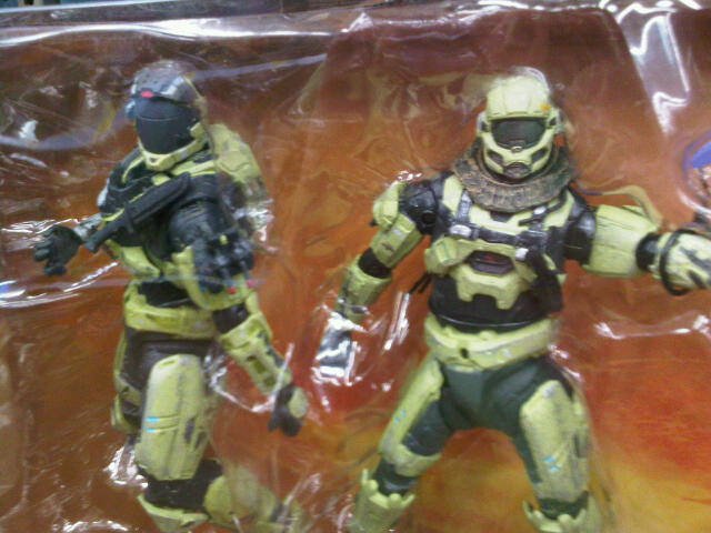 IMG01780-20110921-0815.jpg