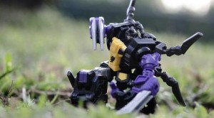 insecticonsflickr