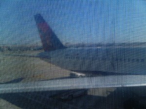 IMG02260-20111217-1407.jpg