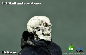 simulationskull