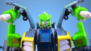 springer