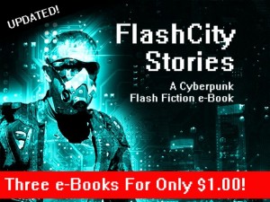flashcitystories