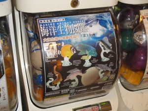 DSC07046
