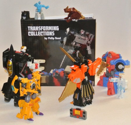 transformingcollectionsbook