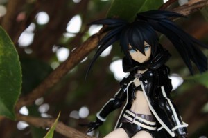 brs