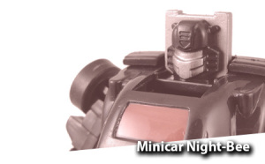 nightbee